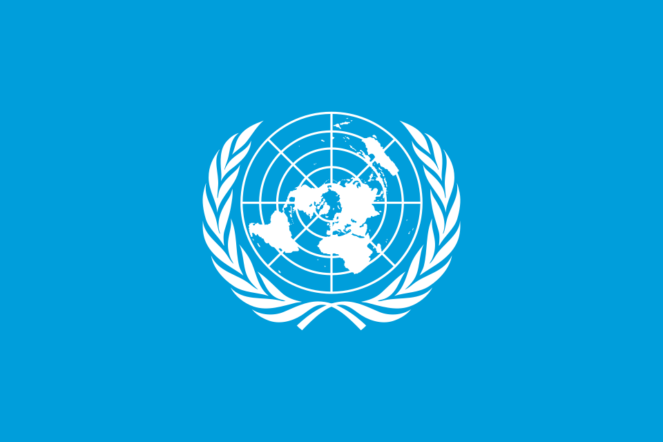 United Nations Supplier